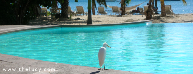 Resort Hotels in Antigua and Barbuda