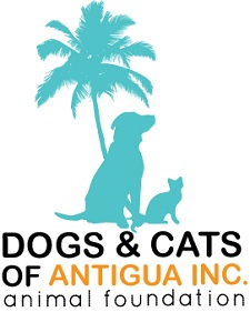 Charities and Community Groups in Antigua: Dogs and Cats of Antigua