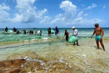Antigua Community Organisations: Antigua & Barbuda Ocean Trust