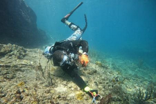 Antigua Community Organisations: Antigua & Barbuda Ocean Trust