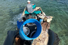 Volunteers cleaning plastic waste on Antigua coastline during Adopt a Coastline beach cleanup