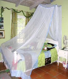Paradise Road Mosquito Nets in private house