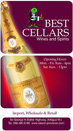 Best Cellars Wines & Spirits, Antigua provisions - logo